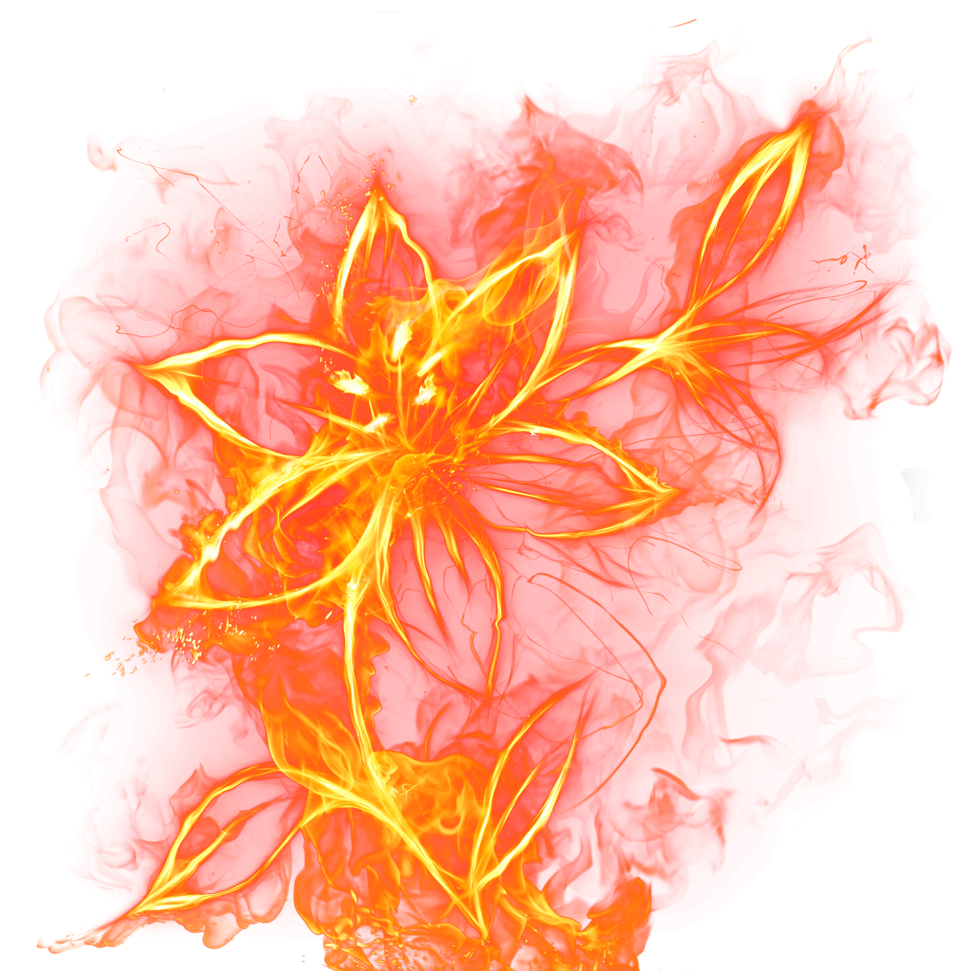 Beautiful_Fire_Flower_PNG_Clipart_Picture