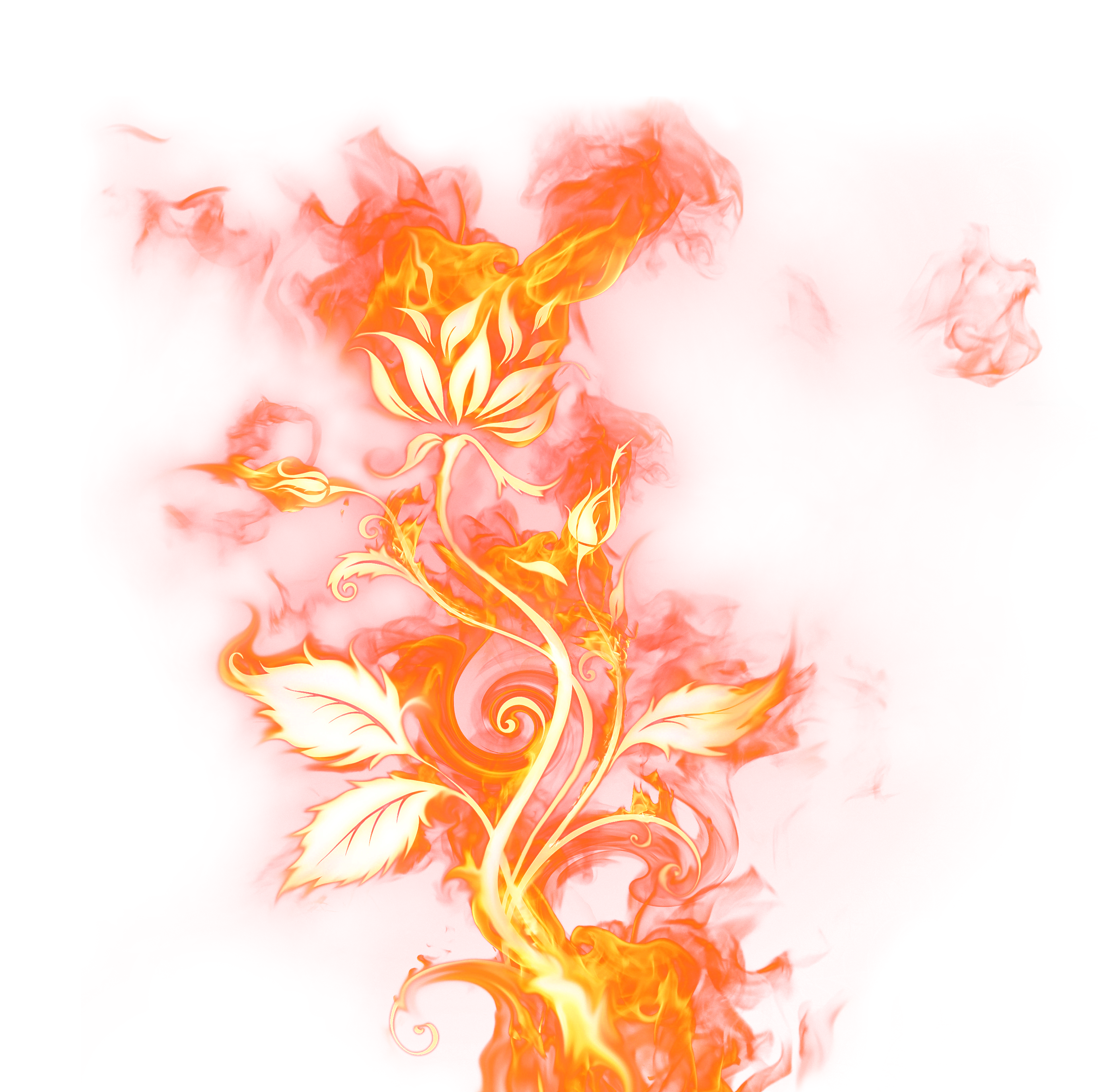 Beautiful_Rose_of_Fire_PNG_Clipart_Picture-1