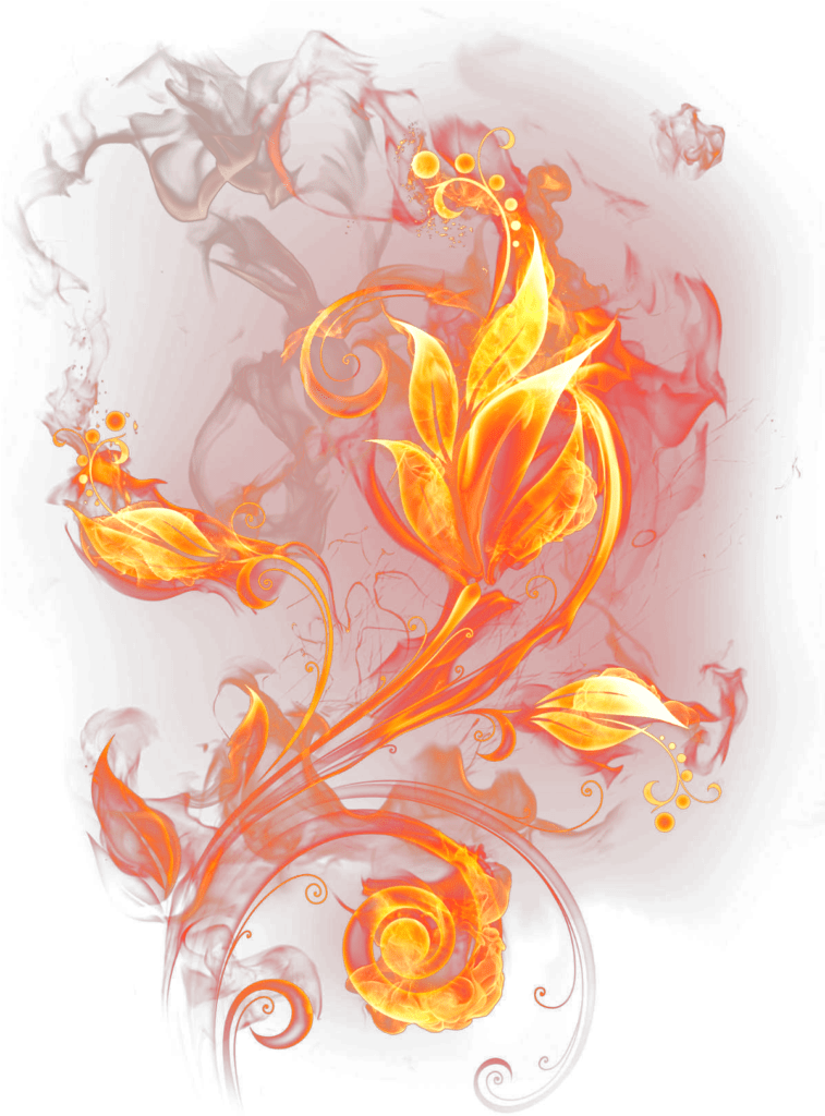 背景透過　花　火　fire flower