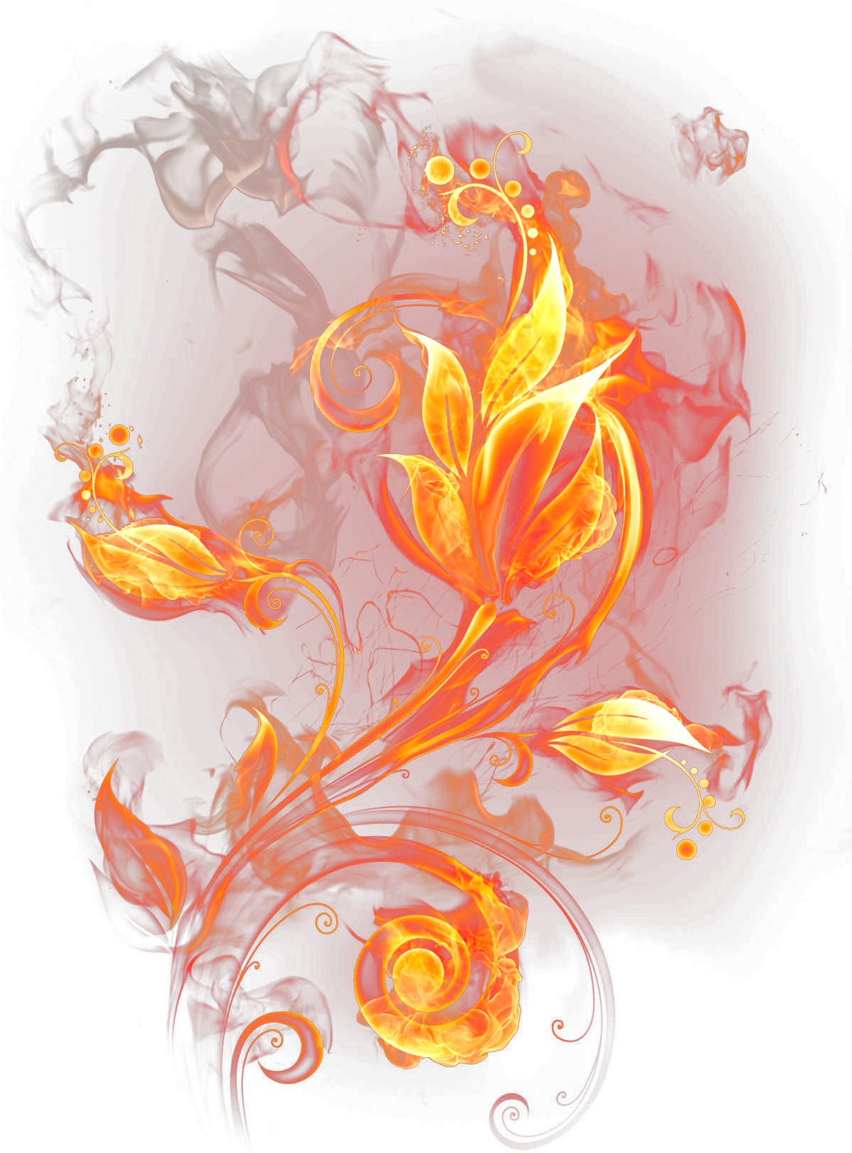 背景透過　花　火　fire flower