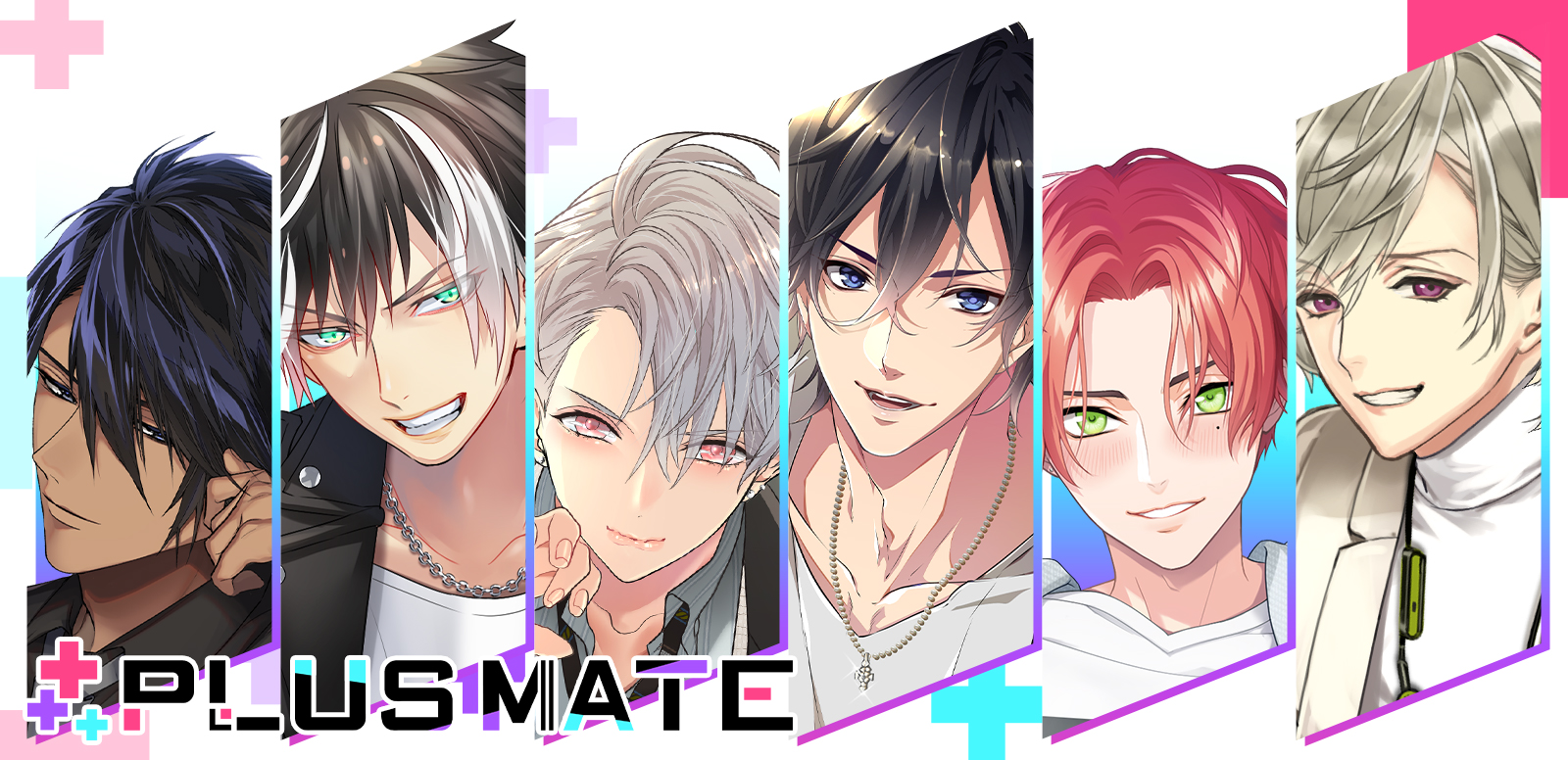 PLUSMATE レビュー